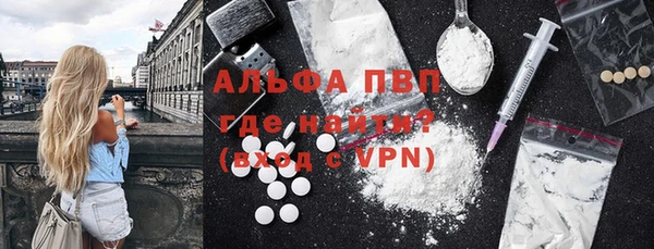 стаф Апатиты