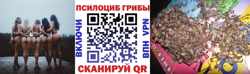 даркнет сайт  Полярный  Псилоцибиновые грибы MAGIC MUSHROOMS 